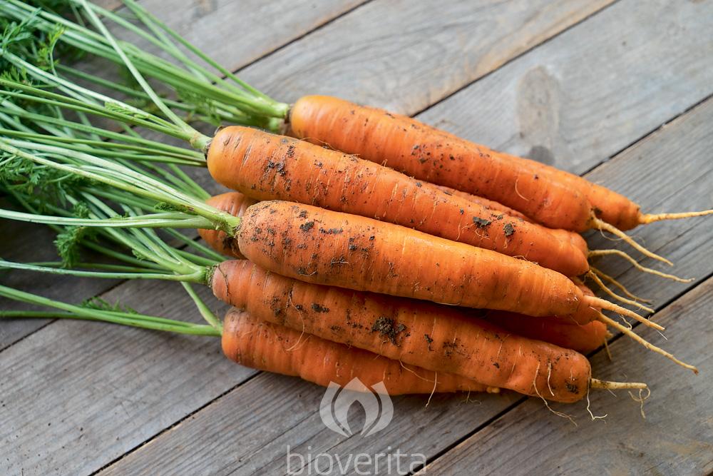 Carrot Treenetaler