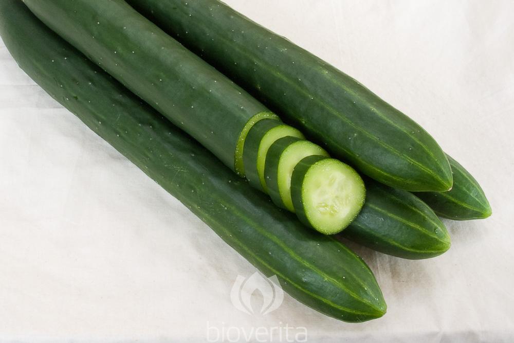 Cucumber Arola