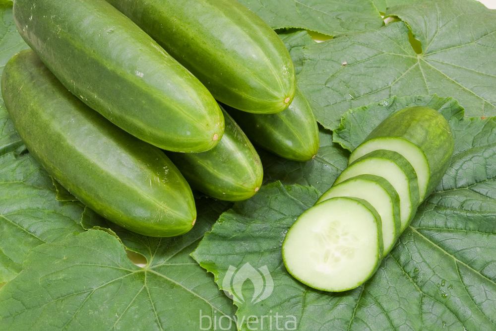 Cucumber Persika
