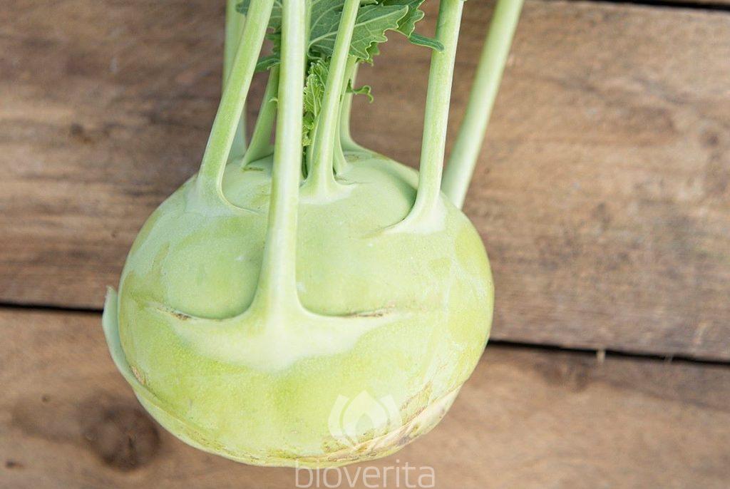 Kohlrabi Fabio