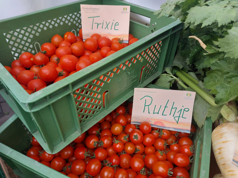 Tomaten Ruthje und Trixie bei der Terra Hausmesse