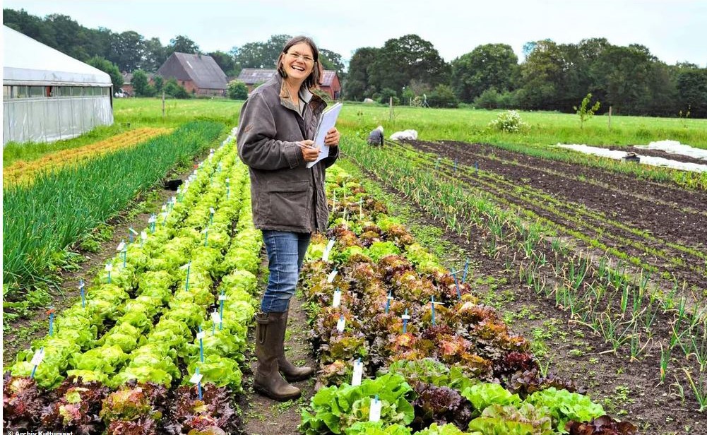Züchterin Ulrike Behrendt in einem Feld mit Salatpflanzen